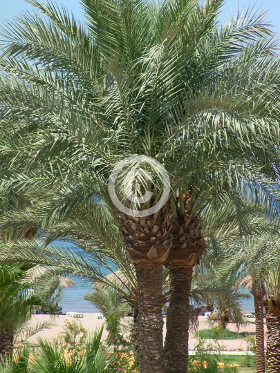 AQABA