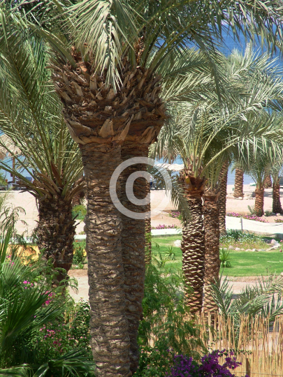 AQABA