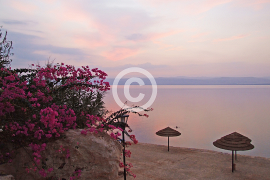 DEADSEA