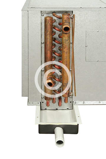 PETRA-HITACHI JORDAN