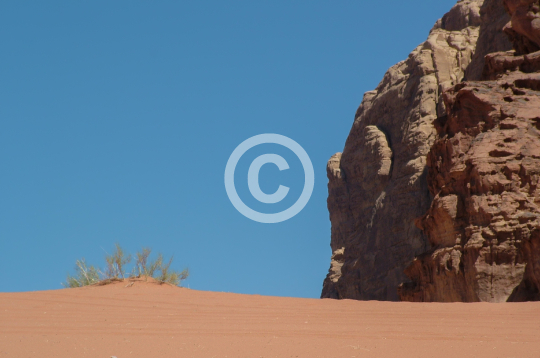 WADIRUM