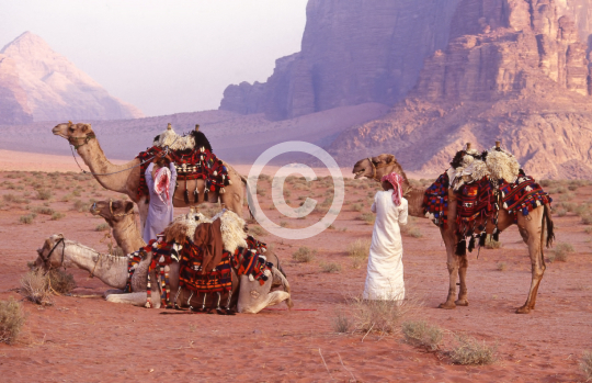 WADIRUM